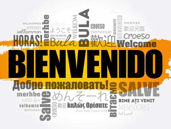 Bienvenido Welcome Spanish Word Cloud Different Languages Conceptual Background — Stock Vector