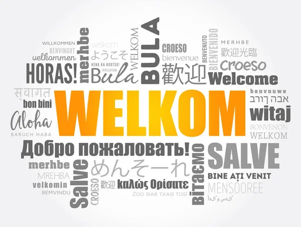 Welkom Welcome Afrikaans Szófelhő Különböző Nyelveken Fogalmi Háttér — Stock Vector