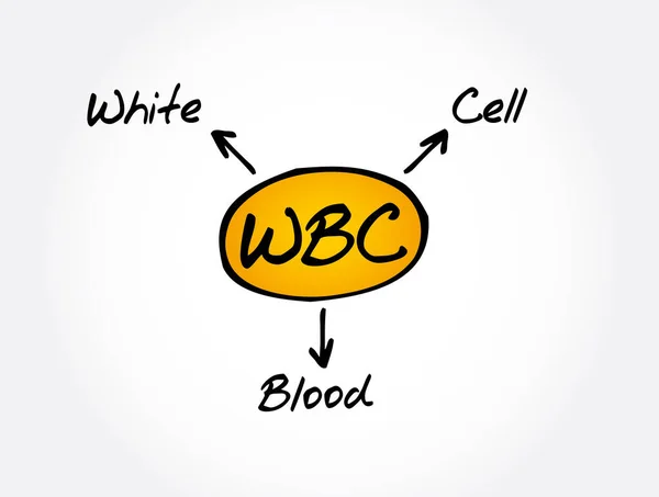 Wbc Acrónimo Glóbulos Brancos Fundo Conceito Médico — Vetor de Stock