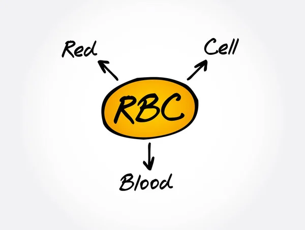 Rbc Red Blood Cell Acrônimo Fundo Conceitual — Vetor de Stock