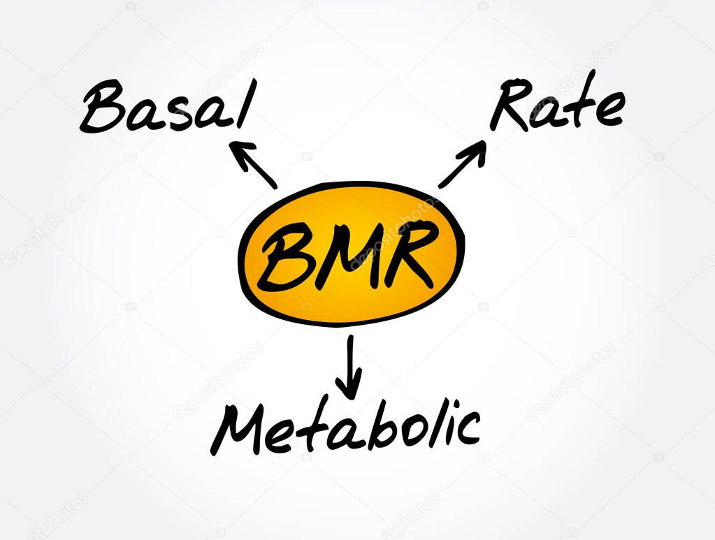 BMR - Basal Metabolic Rate acronym, concept background