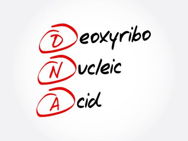 DNA - Deoksiribonükleik asit kısaltması, tıbbi konsept geçmişi