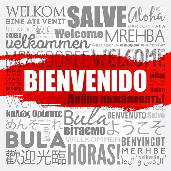 Bienvenido Bienvenido Español Nube Palabras Diferentes Idiomas Fondo Conceptual — Vector de stock