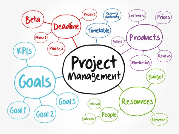 项目管理思维流程图 演示和报告的业务概念 — 图库矢量图片