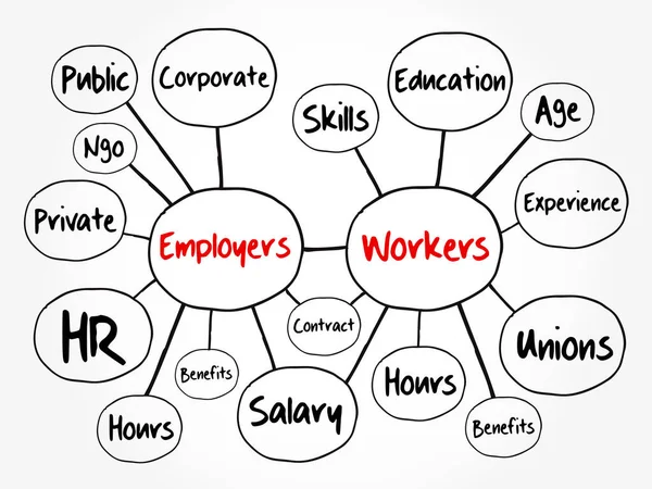 Empregadores Trabalhadores Mapa Mental Fluxograma Conceito Negócio Para Apresentações Relatórios —  Vetores de Stock