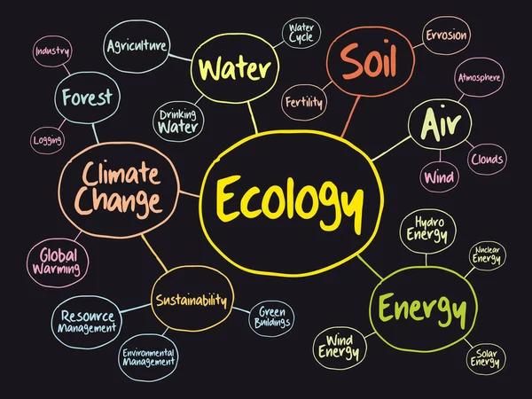 Ecology Mind Map Flowchart Concept Presentations Reports — Stock Vector