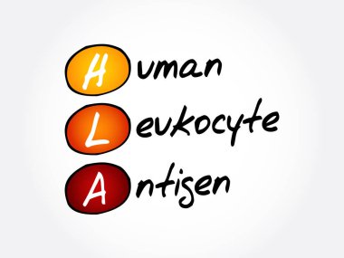 HLA - İnsan lökosit Antijen kısaltması, tıbbi konsept geçmişi