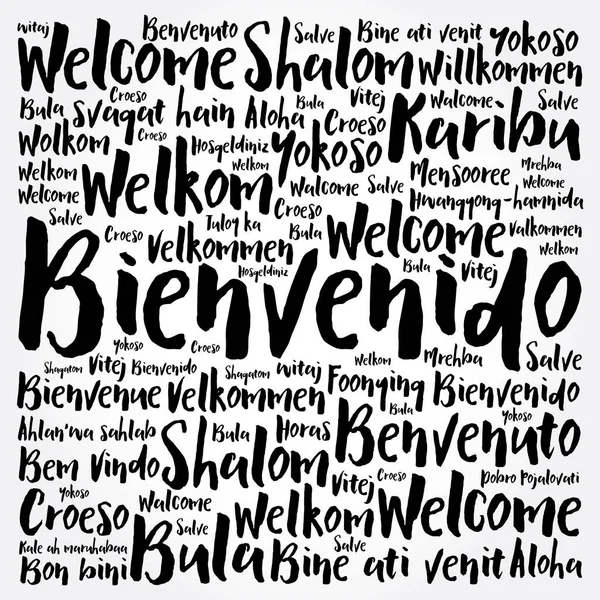 Bienvenido Bienvenido Español Nube Palabras Diferentes Idiomas Fondo Conceptual — Vector de stock