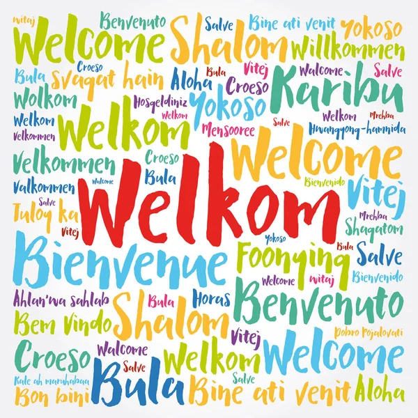 Welkom Καλώς Ήρθατε Στο Afrikaans Σύννεφο Λέξη Διαφορετικές Γλώσσες Εννοιολογικό — Διανυσματικό Αρχείο