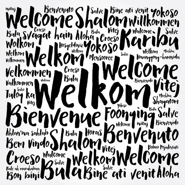 Welkom Welcome Afrikaans Word Cloud Different Languages Conceptual Background — Stock Vector