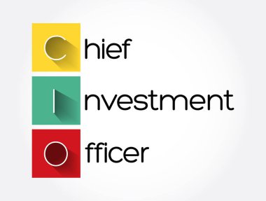 CIO - Yatırım Sorumlusu Kısaltma, iş konsepti geçmişi