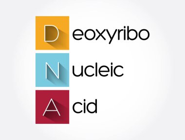 DNA - Deoksiribonükleik asit kısaltması, tıbbi konsept geçmişi