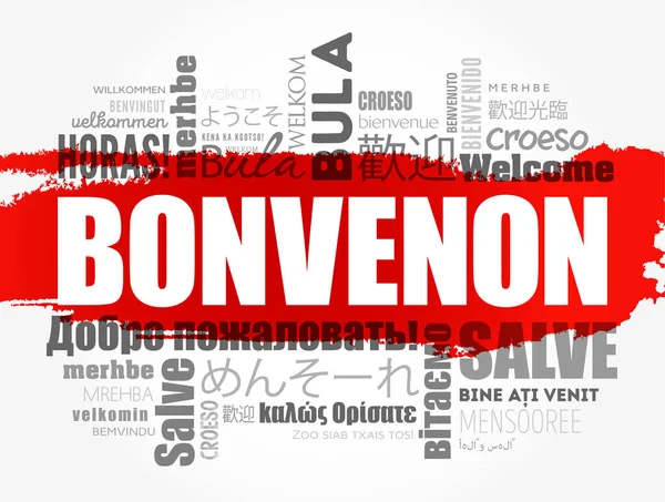 Bonvenon 欢迎来到世界语 不同语言的文字云 — 图库矢量图片