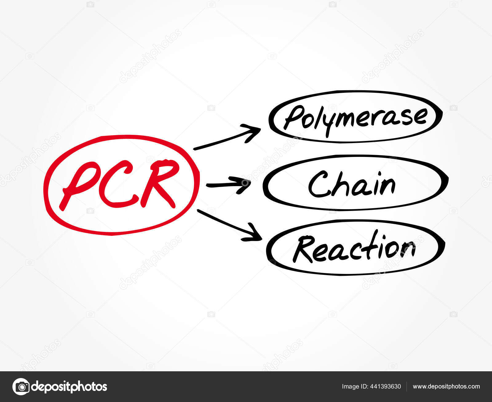 Pcr Polymerase Chain Reaction Acronym Medical Concept Background Stock