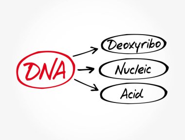 DNA - Deoksiribonükleik asit kısaltması, tıbbi konsept geçmişi