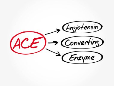 ACE - Angiotensin Dönüştürme Enzimi kısaltması, kavram geçmişi