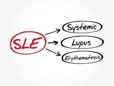 SLE - Sistemik Lupus Eritematosus kısaltması, tıbbi konsept geçmişi