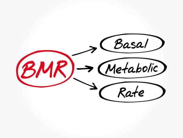 Bmr Basal Metabolic Rate Acronimo Concetto Backgroun — Vettoriale Stock