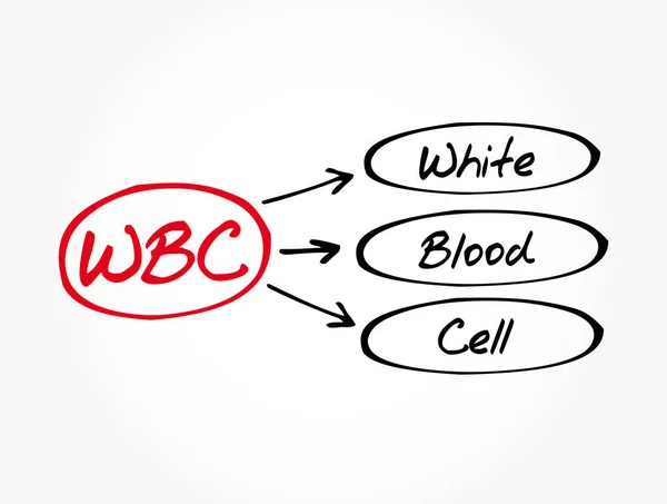 Wbc Acrónimo Glóbulos Brancos Fundo Conceito Médico — Vetor de Stock