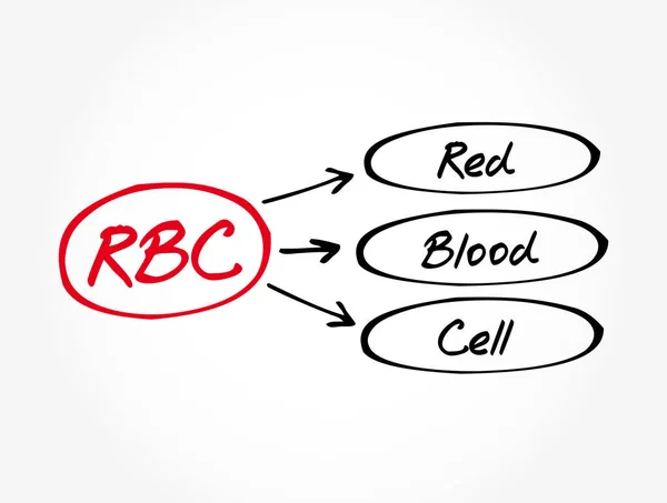 Rbc Acrónimo Red Blood Cell Conceito Backgroun — Vetor de Stock