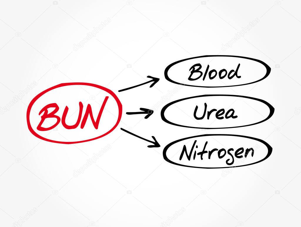 BUN - Blood Urea Nitrogen acronym, medical concept background