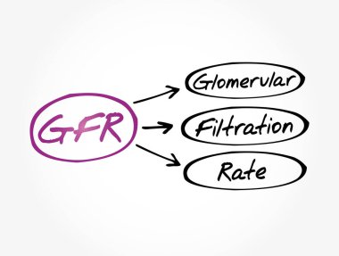 GFR - Glomerular Filtreleme Hızı kısaltması, tıbbi konsept geçmişi