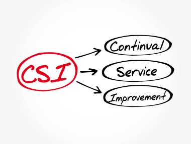 CSI - Sürekli Hizmet Geliştirme kısaltması, iş kavramı geçmişi