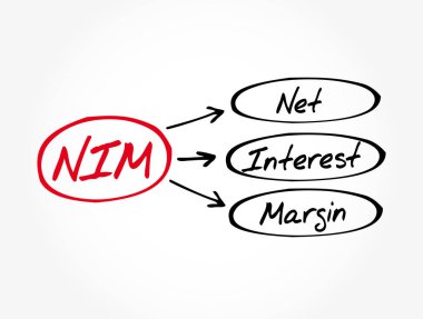 NIM - Net Faiz Marjı kısaltması, iş konsepti geçmişi