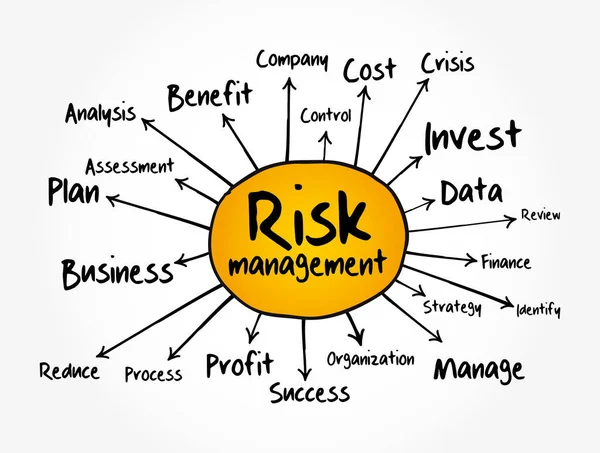 Risk Management Mind Map Business Concept Presentations Reports — Stock Vector