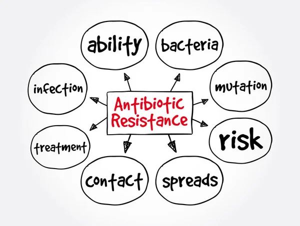 Antibiotická Rezistence Mapa Mysli Lékařský Koncept Pro Prezentace Zprávy — Stockový vektor