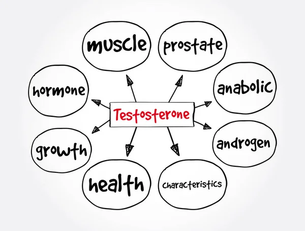 Mapa Mental Testosterona Concepto Médico Para Presentaciones Informes — Archivo Imágenes Vectoriales