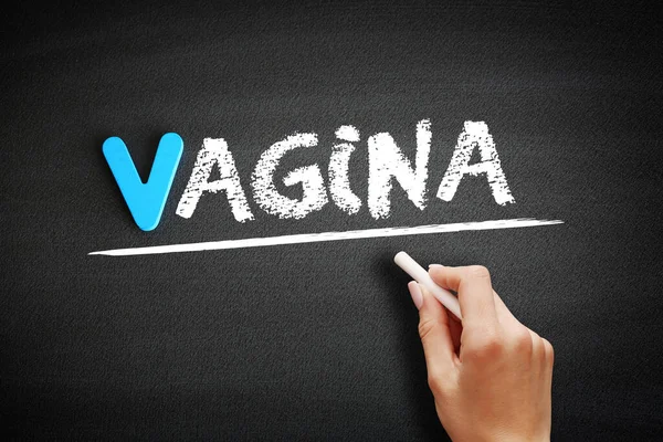 Hand Writing Vagina Blackboard Health Concept Background — Stockfoto