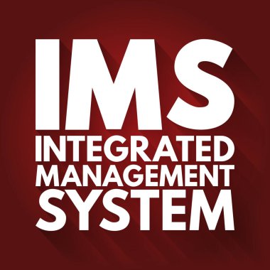 IMS - Entegre Yönetim Sistemi kısaltması, iş kavramı geçmişi