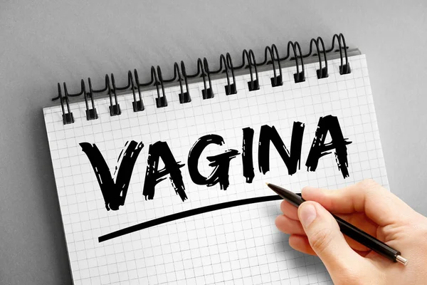 Vagina Text Notepad Health Concept Background — Fotografia de Stock