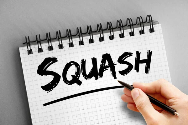 Squash Texto Bloc Notas Fondo Concepto Deporte — Foto de Stock