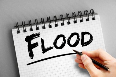 Not defterindeki metni, kavram arkaplanını doldur