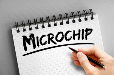 Not defterindeki mikroçip metni, kavram arkaplanı