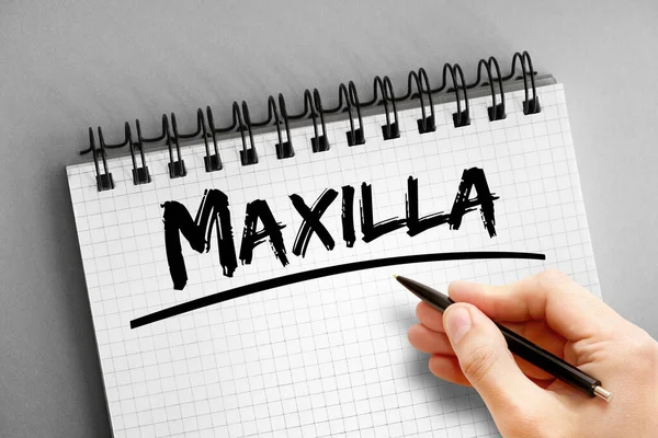 Maxilla Text Anteckningsblock Begrepp Bakgrund — Stockfoto