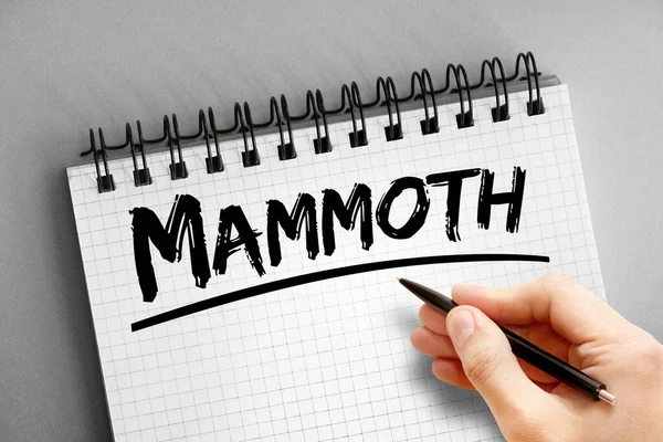 Mammut Testo Blocco Note Concetto Sfondo — Foto Stock