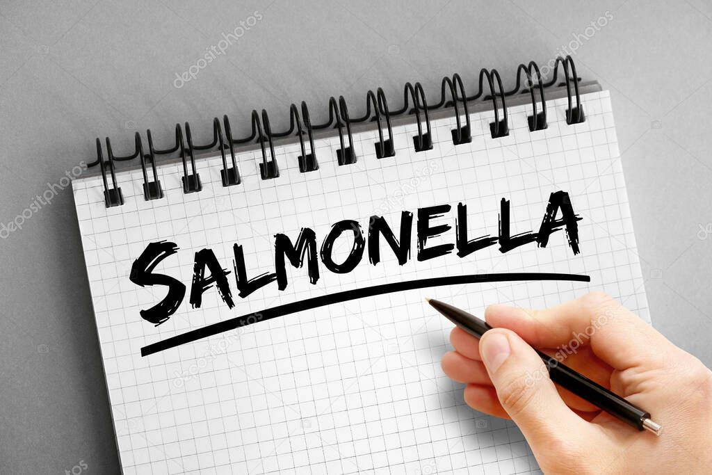 Salmonella text on notepad, concept background