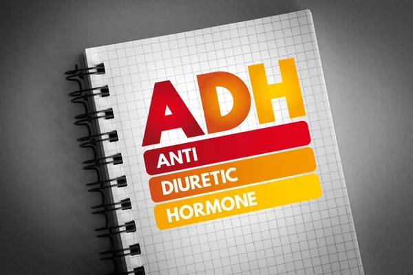 Adh Acrónimo Hormona Antidiurética Bloc Notas Concepto Fondo —  Fotos de Stock