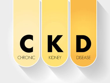 CKD - Kronik Böbrek Hastalığı kısaltması, tıbbi konsept geçmişi