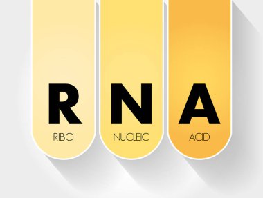 RNA - Ribonükleik asit kısaltması, tıbbi kavram geçmişi