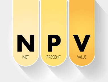 NPV - Net Present Değer kısaltması, iş konsepti geçmişi