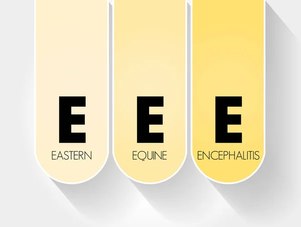 Eee Eastern Equine Encephalitis Akronym Medizinischer Hintergrund — Stockvektor