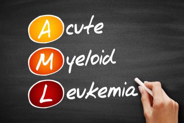 AML - Akut Myeloid Lösemi kısaltması, kara tahtanın tıbbi konsept geçmişi