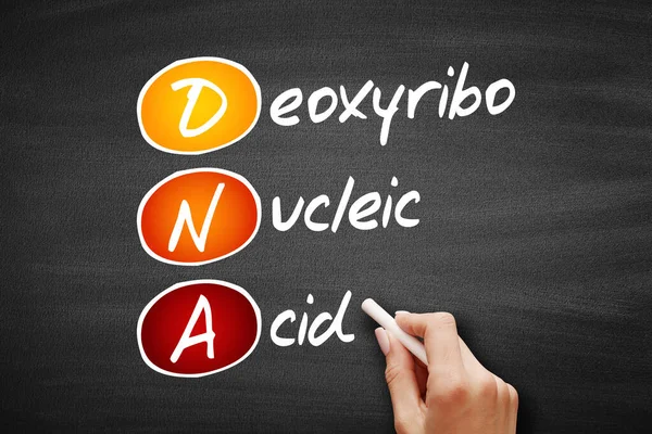 DNA - Deoxyribonucleic Acid, acronym on blackboard