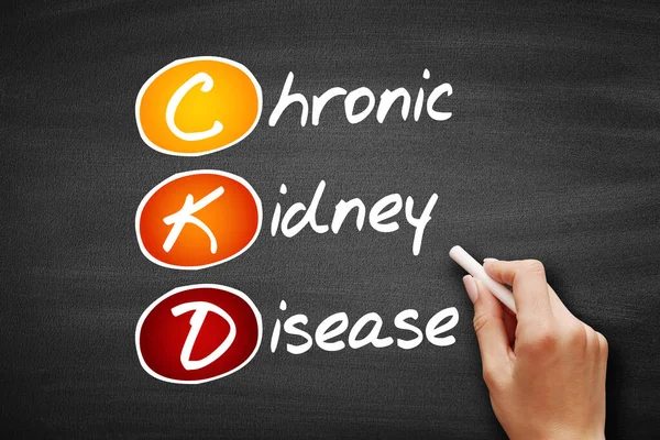 CKD - Chronic Kidney Disease, acronym health concept on blackboard