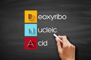 DNA - Deoksiribonükleik asit kısaltması, tahtadaki tıbbi kavram