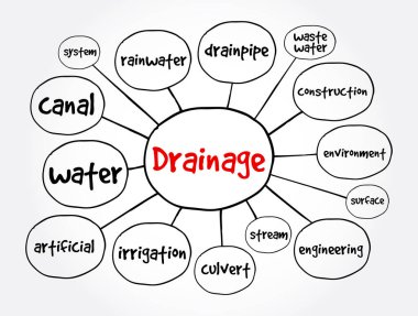 Zihin haritasını boşalt, sunumlar ve raporlar için konsept